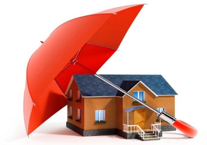 Effective Waterproofing Solutions for Your Home - Espace Maison Effective Waterproofing Solutions for Your Home - Espace Maison