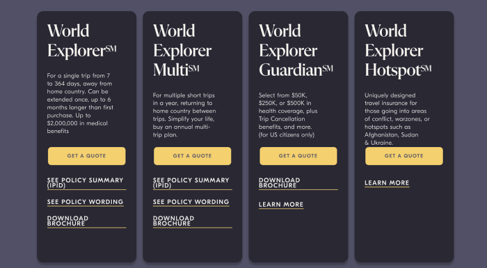 The 9 Best Digital Nomad Travel Insurance Reviewed The 9 Best Digital Nomad Travel Insurance Reviewed