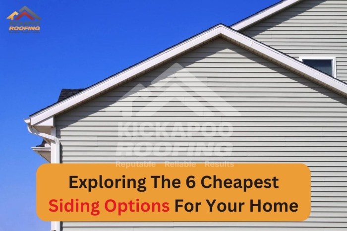 Exploring The 6 Cheapest Siding Options For Your Home Exploring The 6 Cheapest Siding Options For Your Home